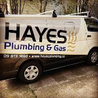Hayes Plumbing and Gas image 1